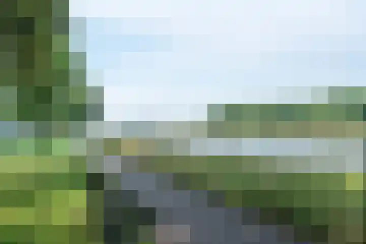 Joseph Haydnlaan 50 3 Utrecht thumbnail 36