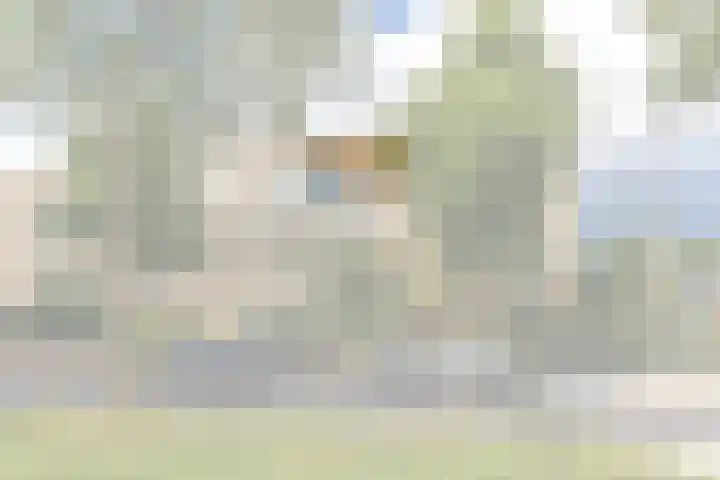Joseph Haydnlaan 50 3 Utrecht thumbnail 4