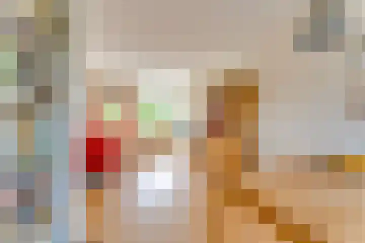 Joseph Haydnlaan 50 3 Utrecht thumbnail 9
