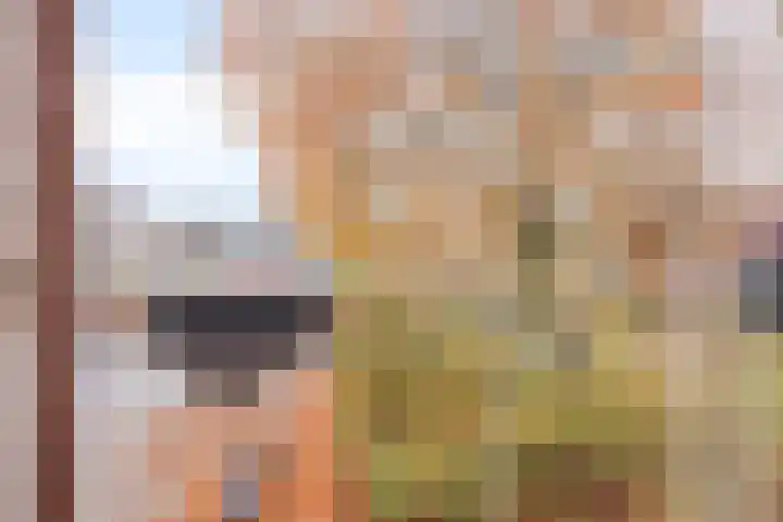 Joseph Haydnlaan 72 Leiden thumbnail 19