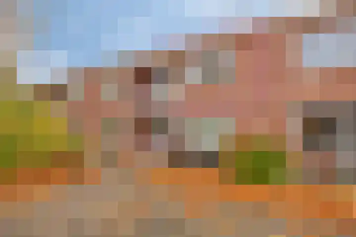 Joseph Haydnlaan 72 Leiden thumbnail 22