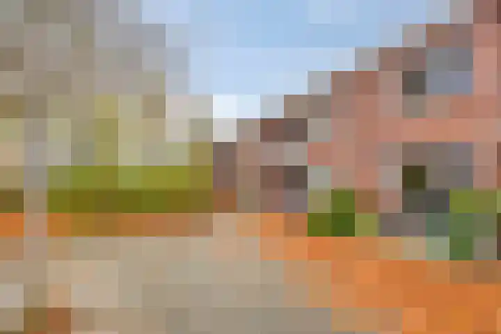Joseph Haydnlaan 72 Leiden thumbnail 24