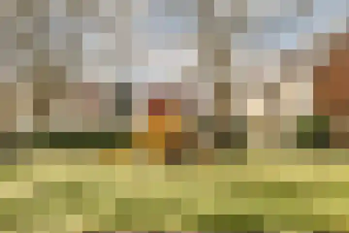 Joseph Haydnlaan 72 Leiden thumbnail 34