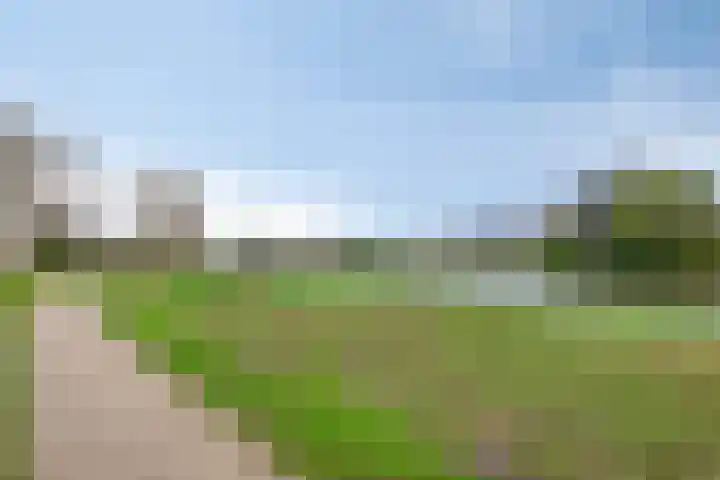 Joseph Haydnlaan 72 Leiden thumbnail 36