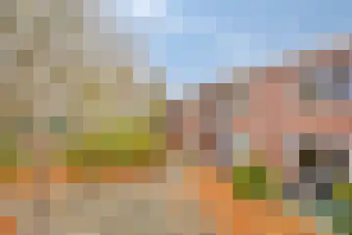 Joseph Haydnlaan 72 Leiden thumbnail 4