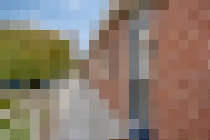 Joseph Haydnlaan 72 Leiden thumbnail 5