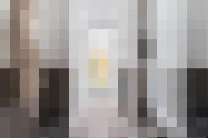 Joseph Haydnlaan 72 Leiden thumbnail 6