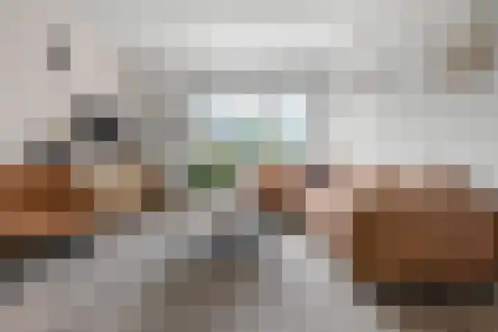 Joseph Haydnlaan 76 Leiden thumbnail 10