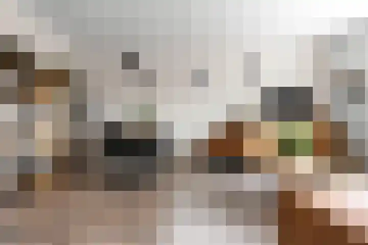 Joseph Haydnlaan 76 Leiden thumbnail 11
