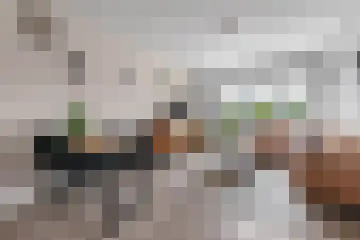 Joseph Haydnlaan 76 Leiden thumbnail 17