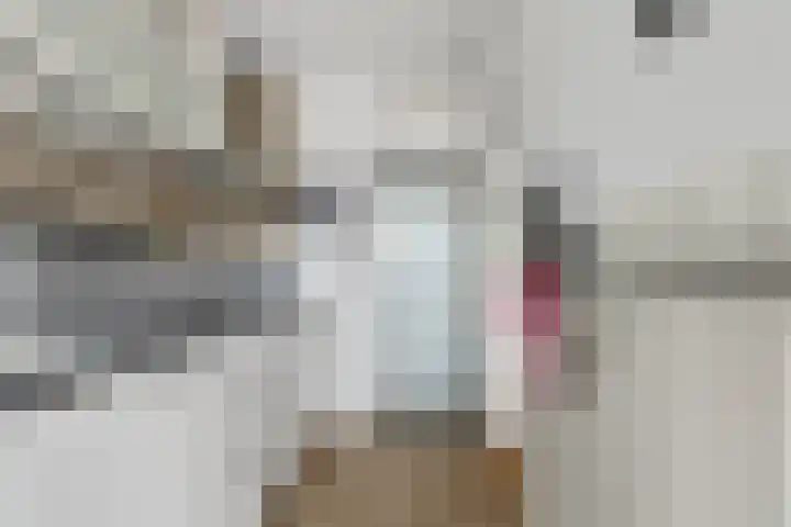Joseph Haydnlaan 76 Leiden thumbnail 21