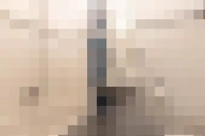 Joseph Haydnlaan 78 Leiden thumbnail 18