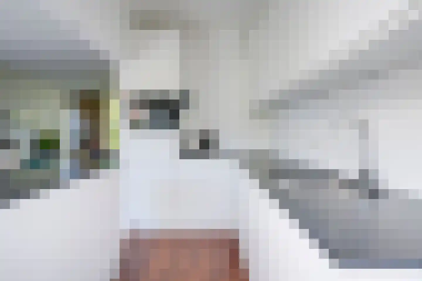 Joseph Haydnlaan 82 Utrecht thumbnail 12