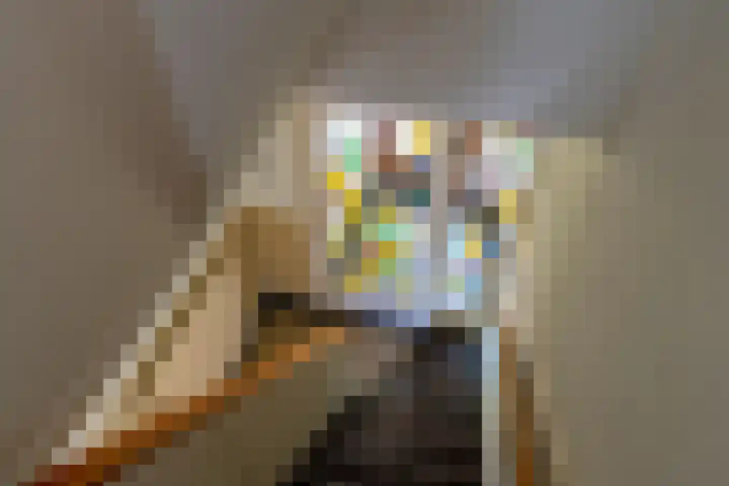 Joseph Haydnlaan 82 Utrecht thumbnail 16