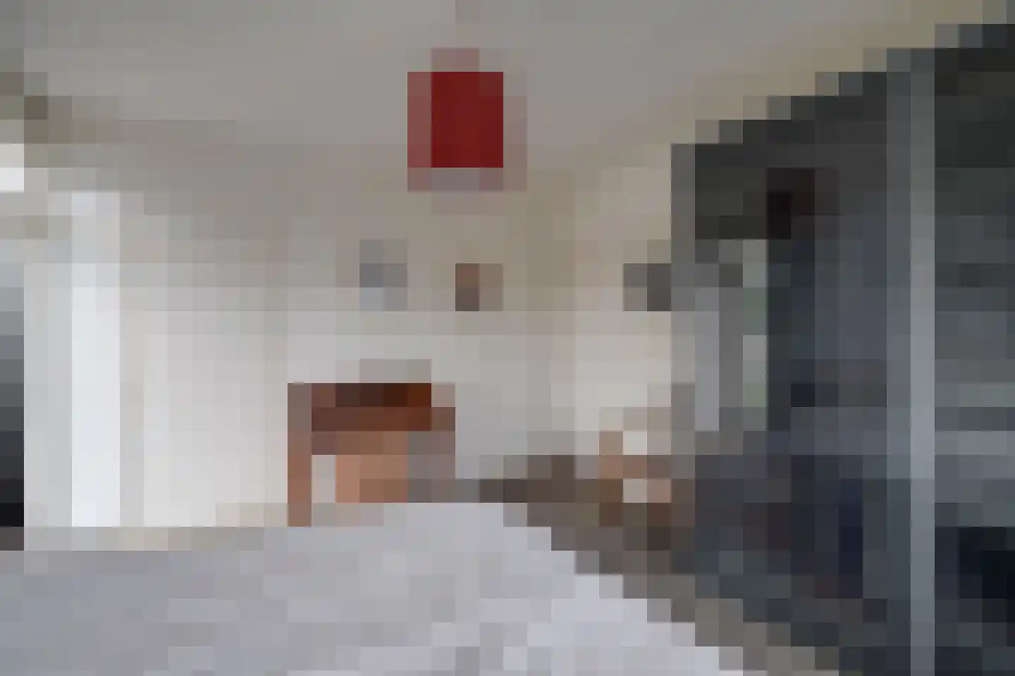 Joseph Haydnlaan 82 Utrecht thumbnail 18