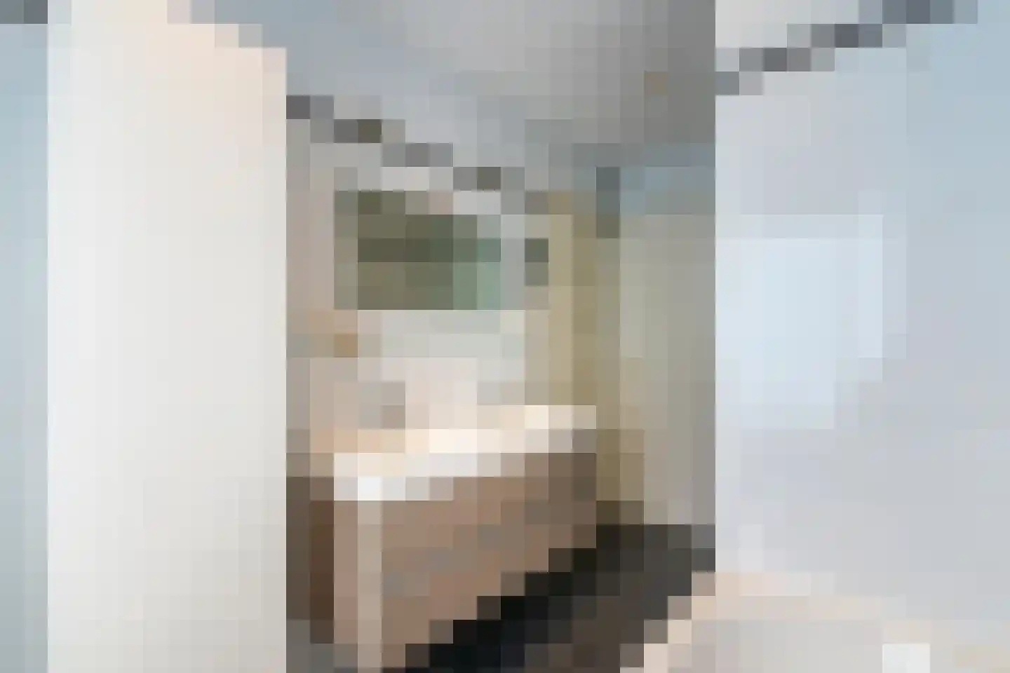 Joseph Haydnlaan 82 Utrecht thumbnail 22