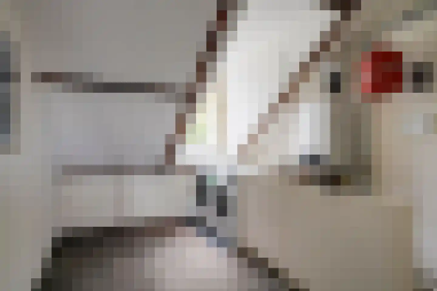 Joseph Haydnlaan 82 Utrecht thumbnail 25