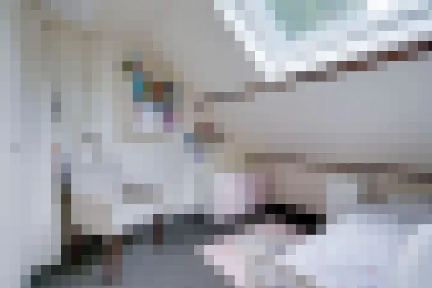 Joseph Haydnlaan 82 Utrecht thumbnail 28