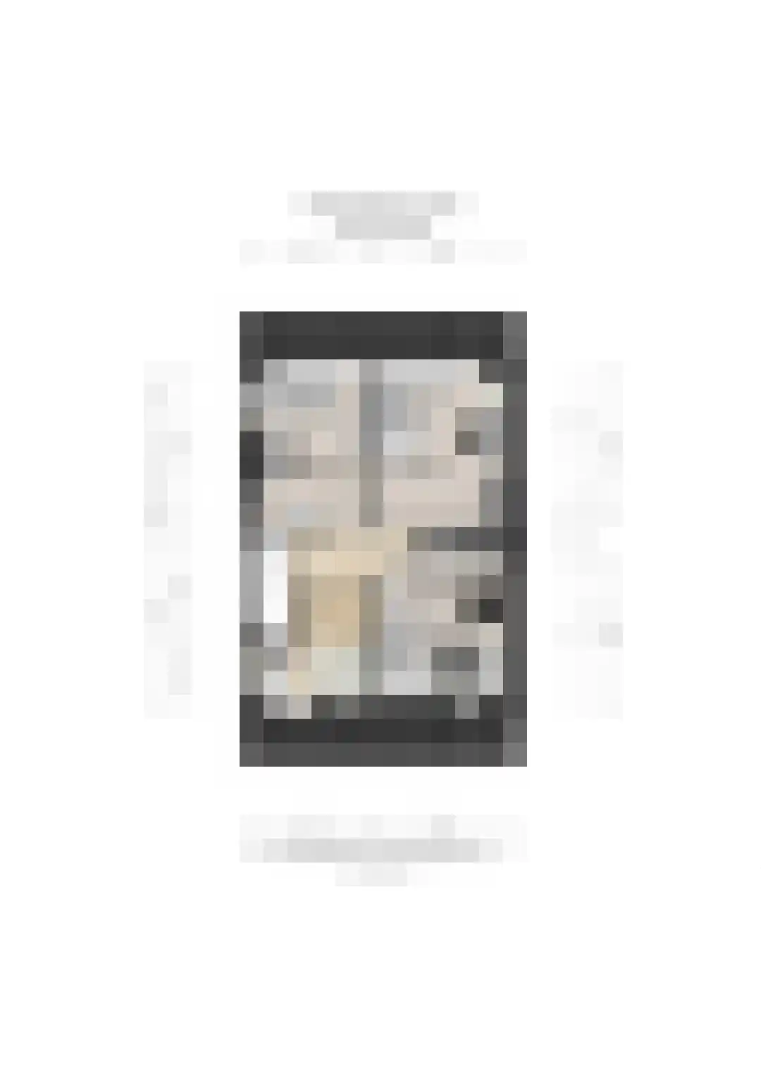 Joseph Haydnlaan 82 Utrecht thumbnail 39