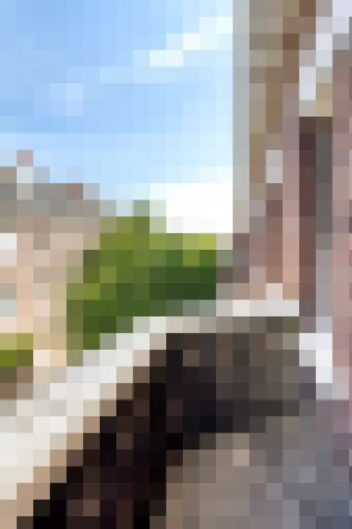 Joseph Hollmanstraat 17 B Maastricht thumbnail 34
