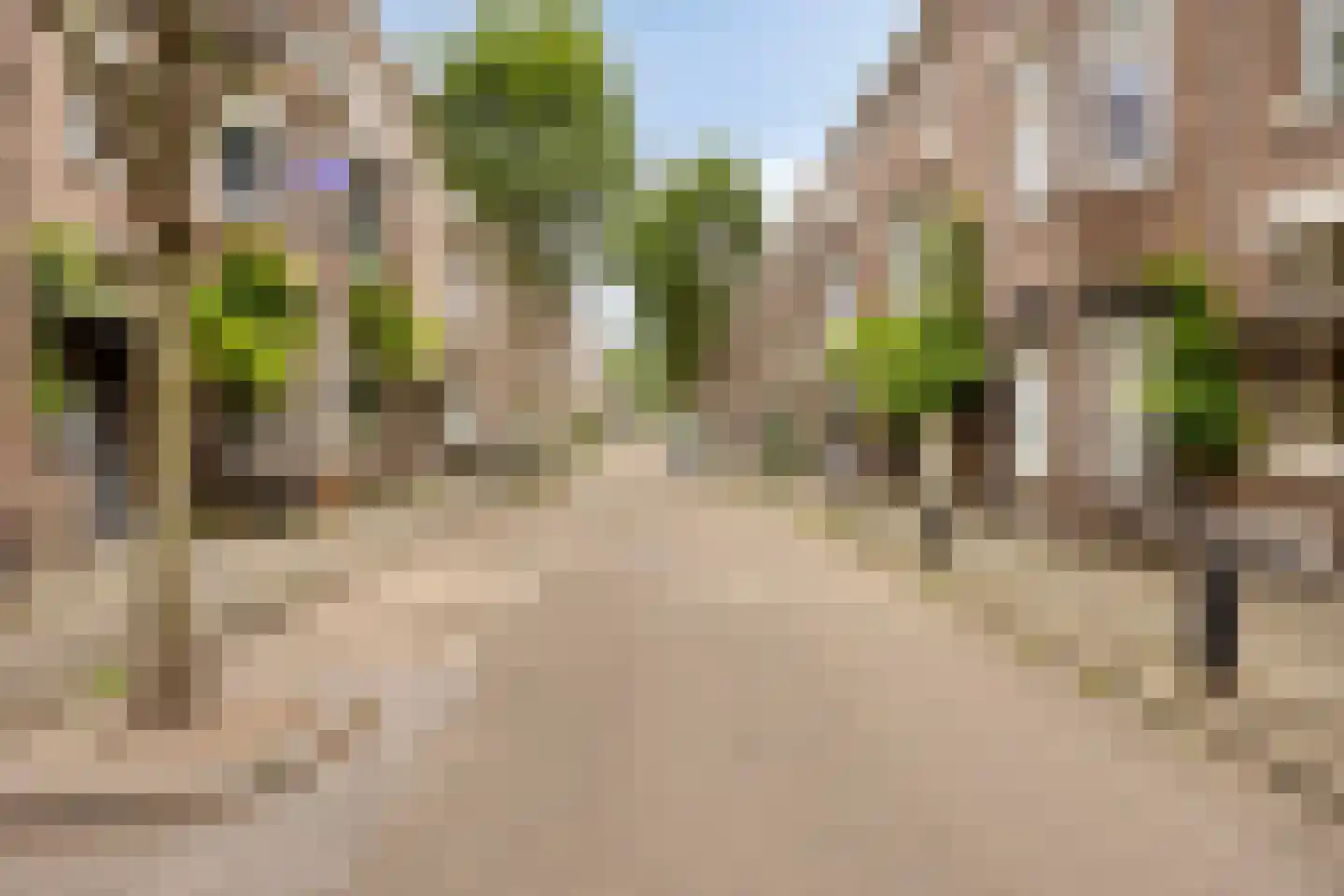 Joseph Hollmanstraat 26 A Maastricht thumbnail 53