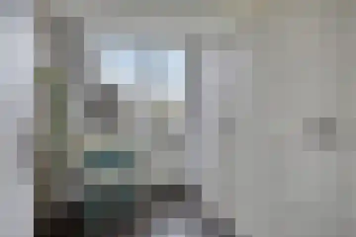 Joseph Knipstraat 25 Rosmalen thumbnail 21