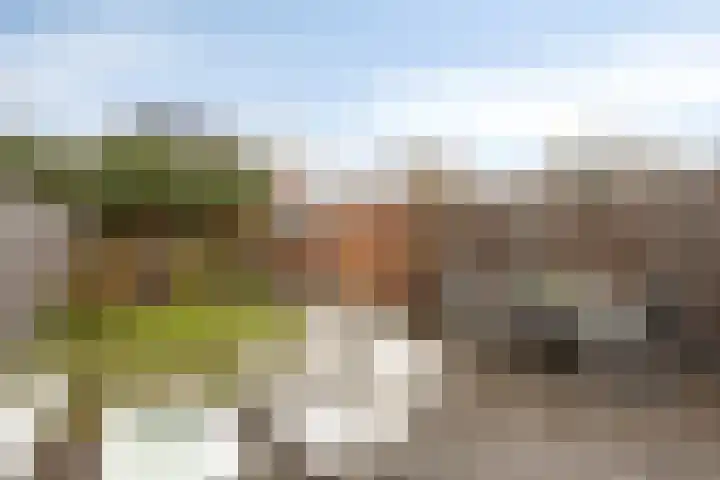 Joseph Knipstraat 25 Rosmalen thumbnail 24