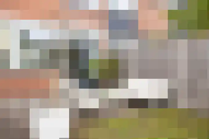 Joseph Knipstraat 25 Rosmalen thumbnail 28