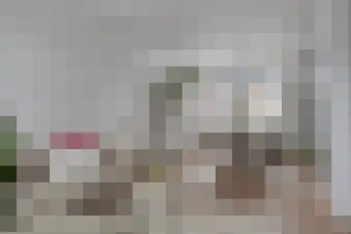 Joseph Knipstraat 25 Rosmalen thumbnail 4