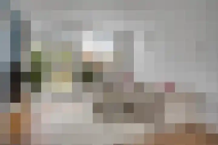 Joseph Knipstraat 25 Rosmalen thumbnail 5