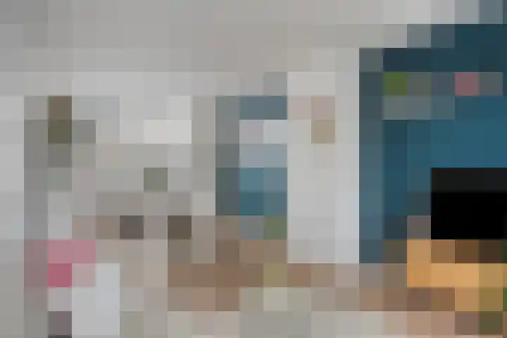 Joseph Knipstraat 25 Rosmalen thumbnail 8