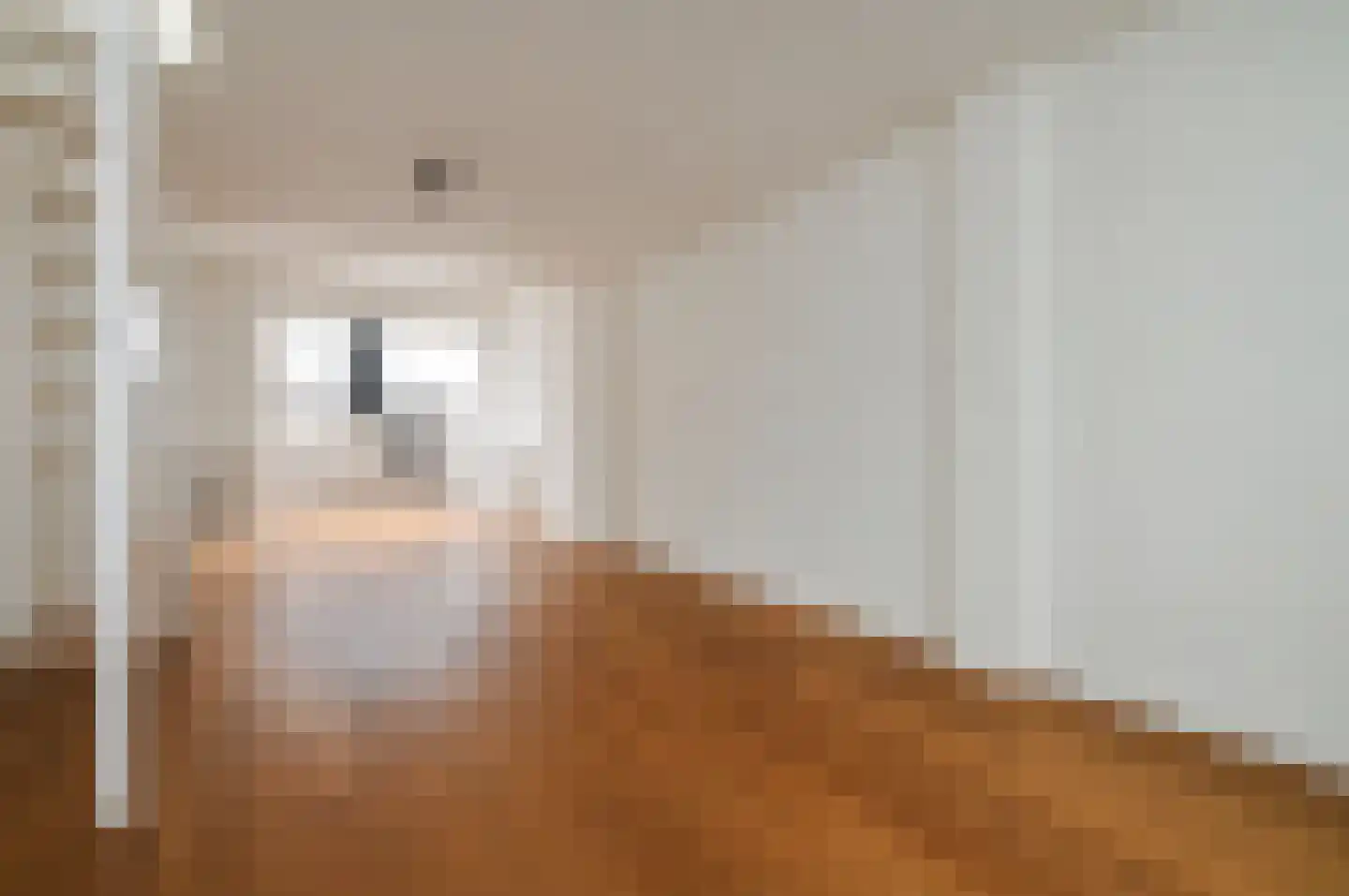 Joseph Ledelstraat 1 B Den Haag thumbnail 5