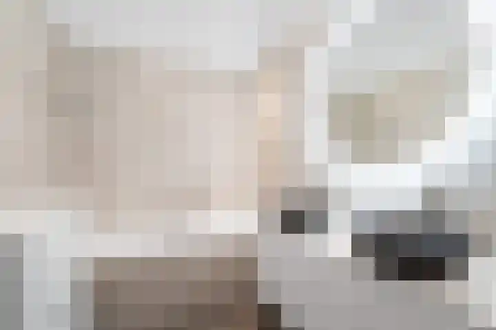 Joseph Ledelstraat 1 Den Haag thumbnail 20