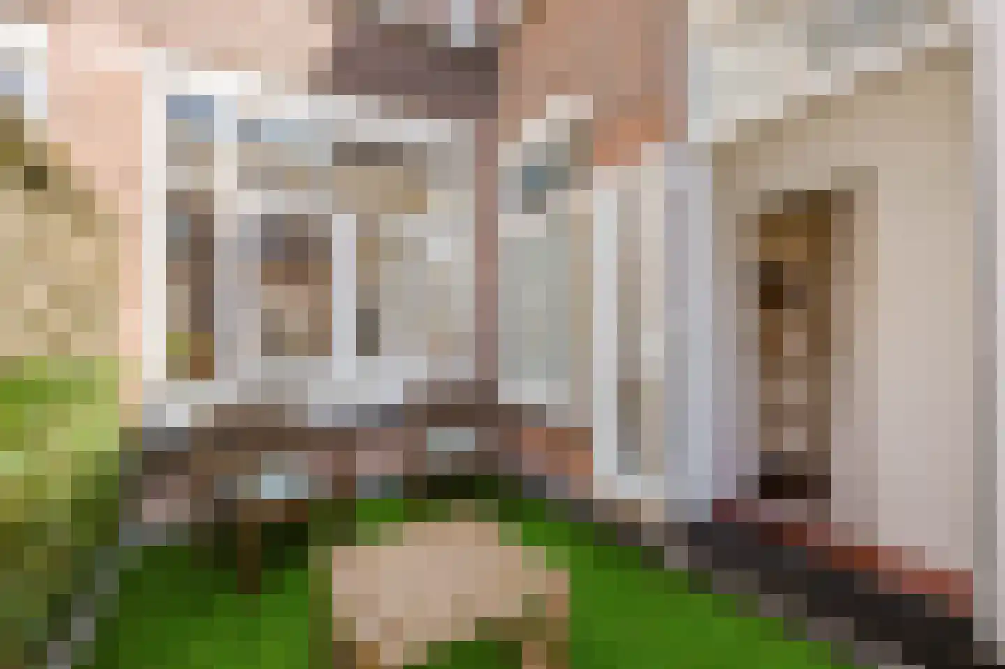 Joseph Ledelstraat 2 C Den Haag thumbnail 30