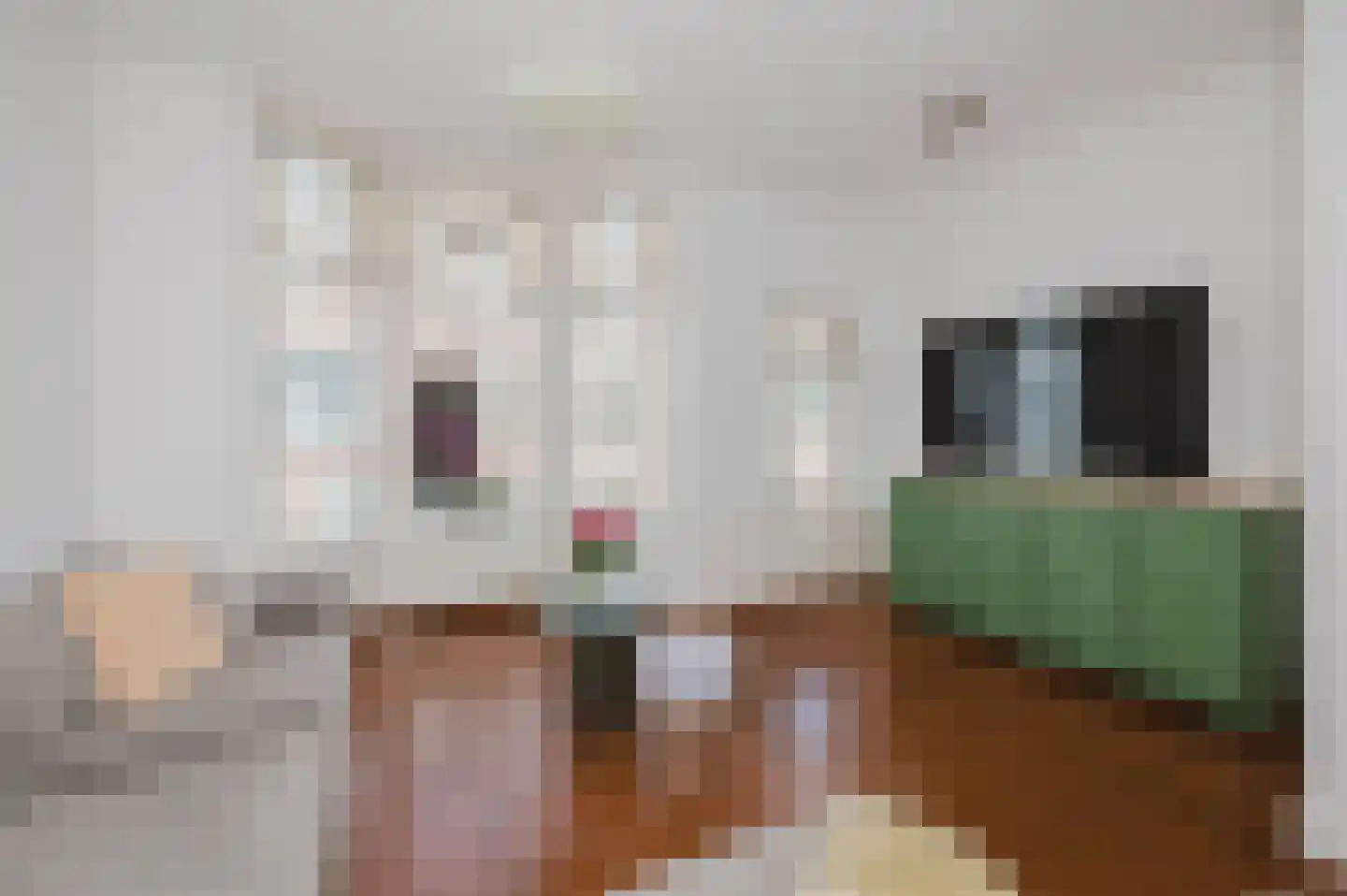 Joseph Ledelstraat 2 C Den Haag thumbnail 5