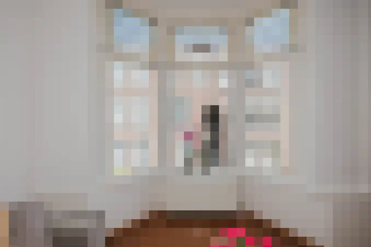 Joseph Ledelstraat 2 C Den Haag thumbnail 6