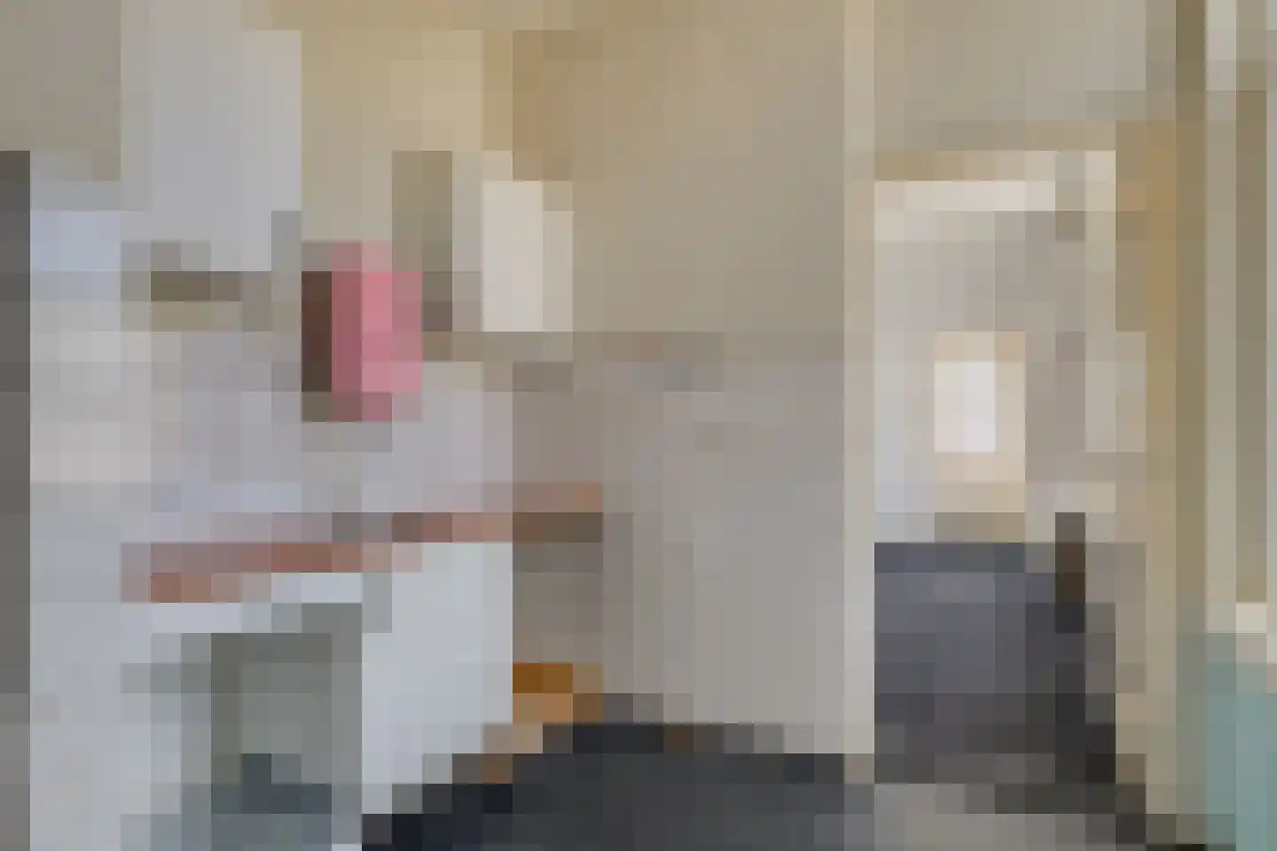 Joseph Ledelstraat 4 D Den Haag thumbnail 11