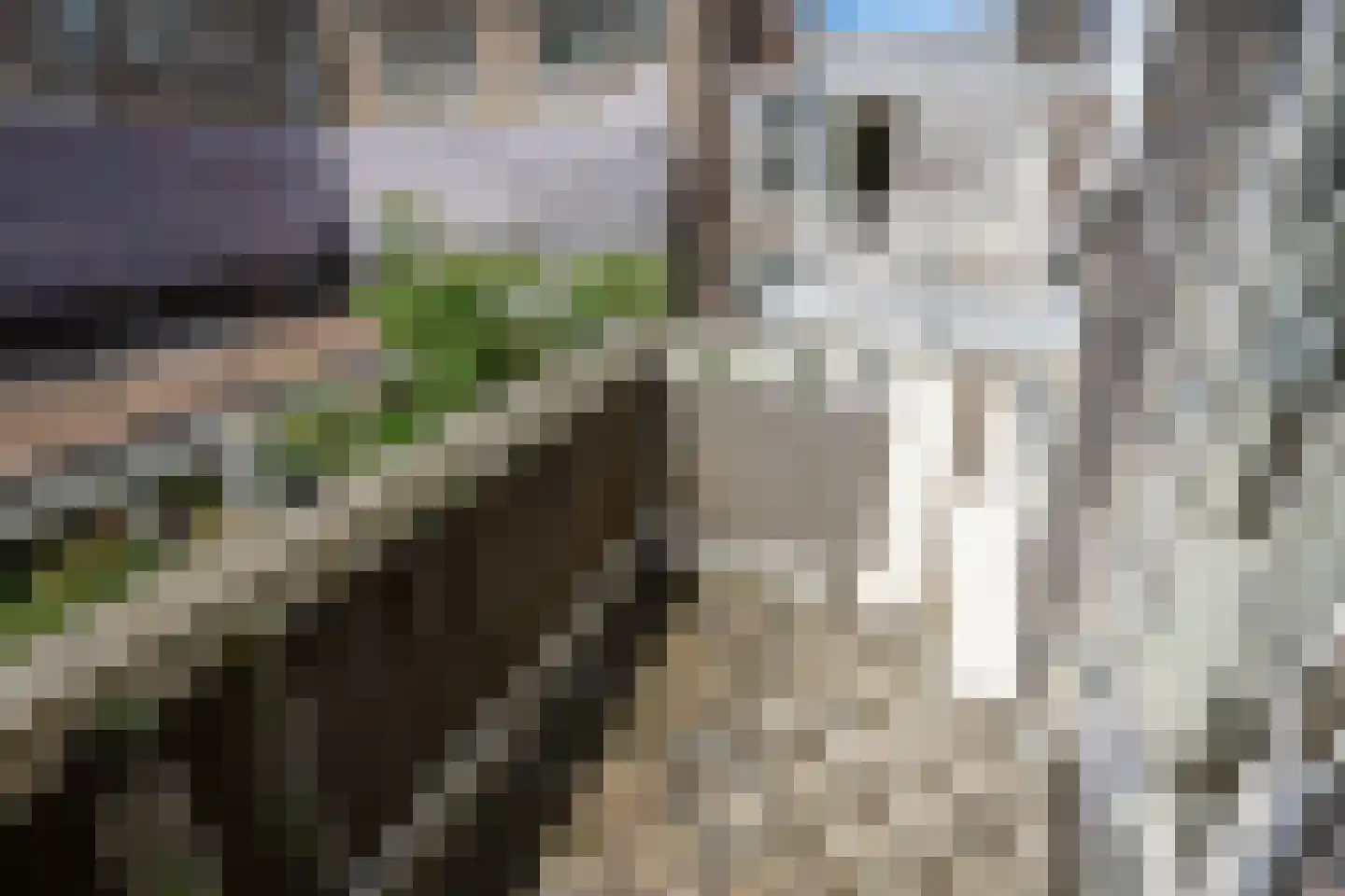 Joseph Ledelstraat 4 D Den Haag thumbnail 5