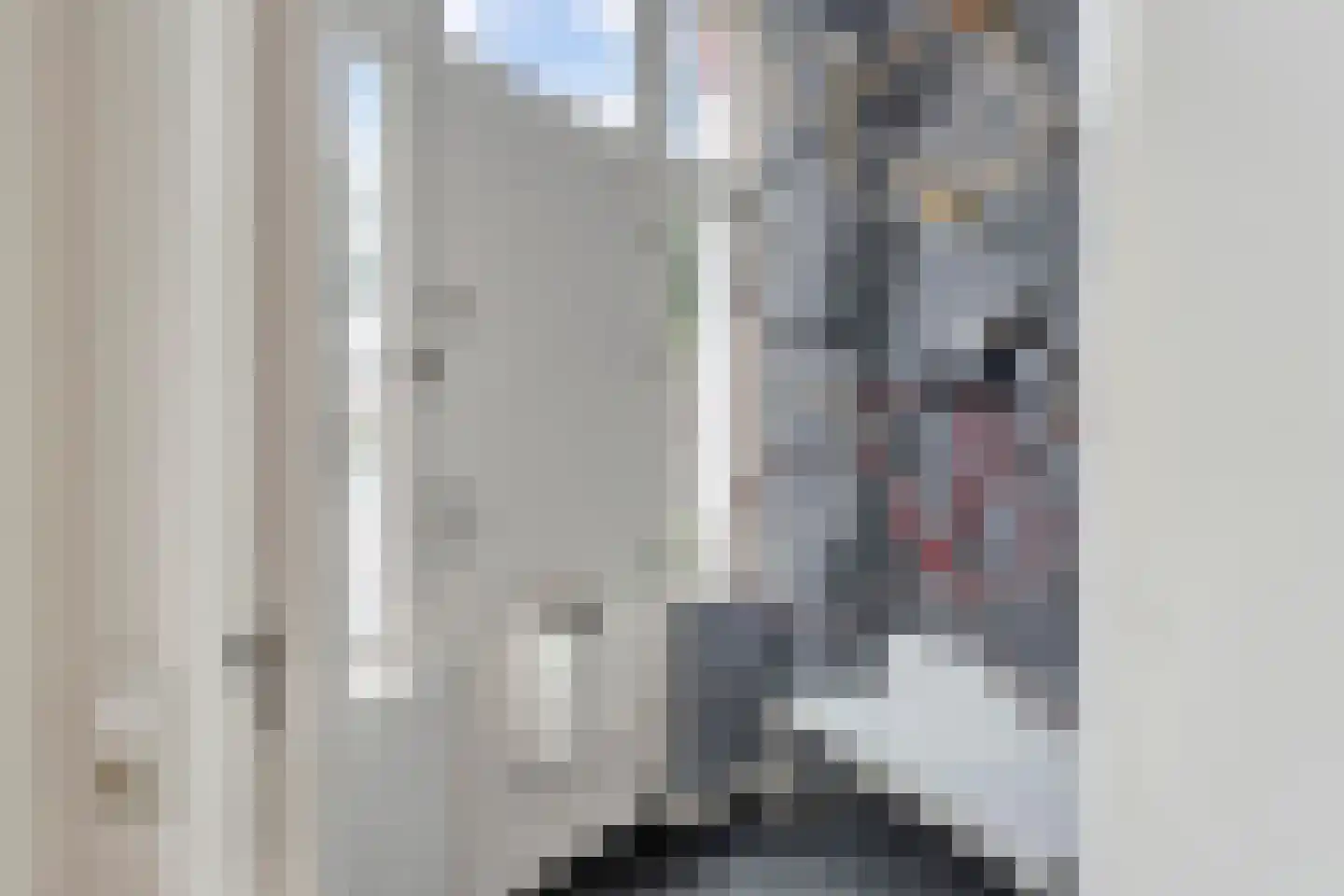 Joseph Ledelstraat 5 A Den Haag thumbnail 8