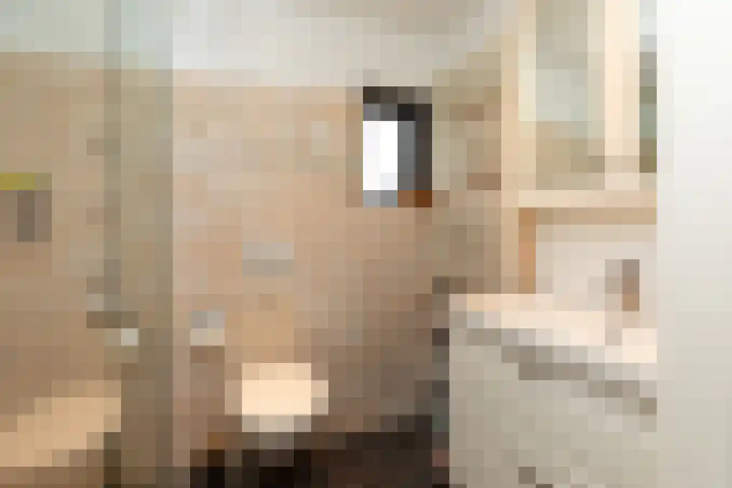 Joseph Lokinlaan 6 Ankeveen thumbnail 14