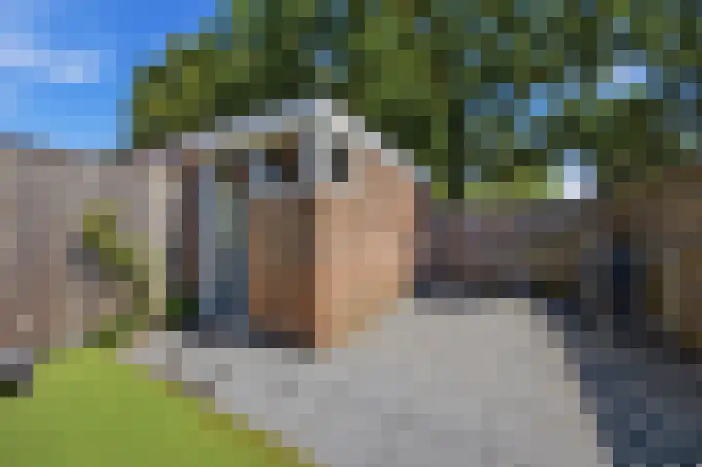Joseph Lunslaan 48 Goes thumbnail 29