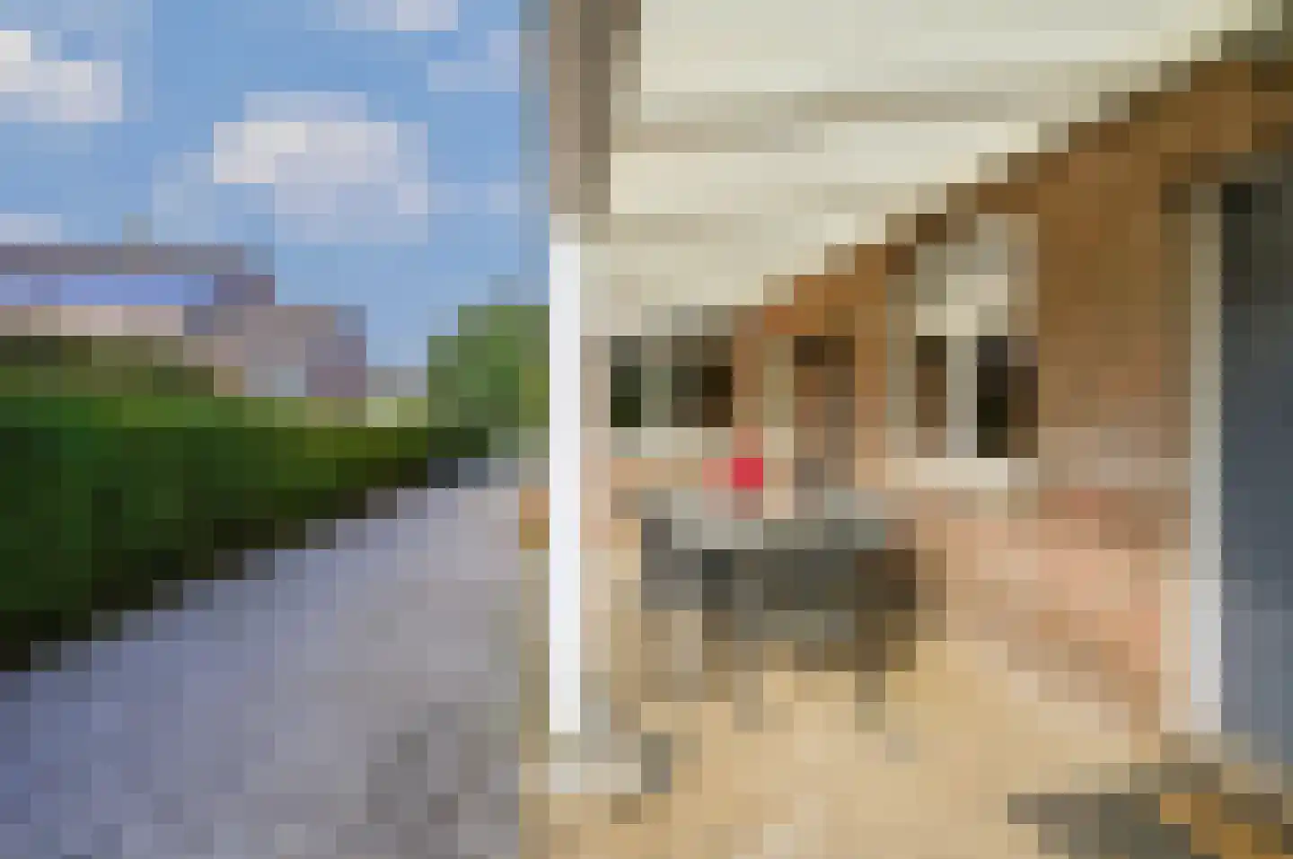 Joseph Partounsstraat 4 Eijsden thumbnail 27