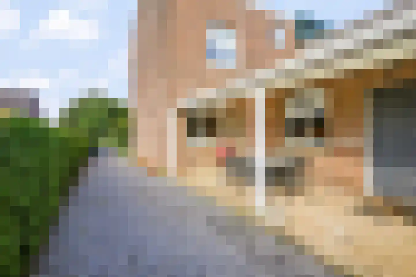 Joseph Partounsstraat 4 Eijsden thumbnail 28