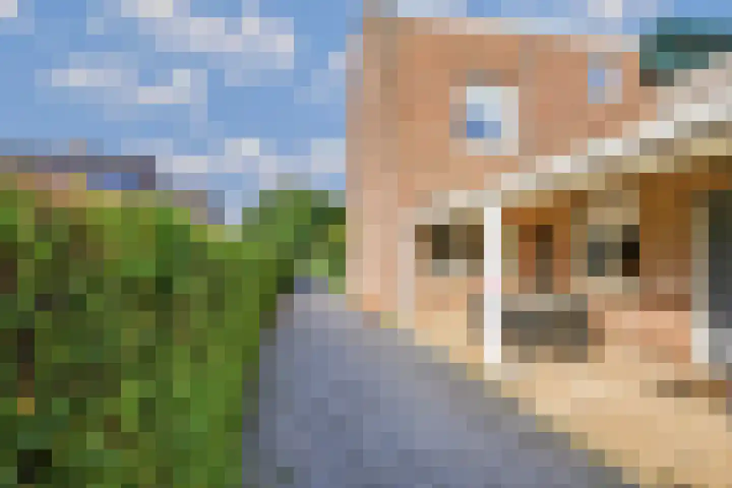 Joseph Partounsstraat 4 Eijsden thumbnail 29