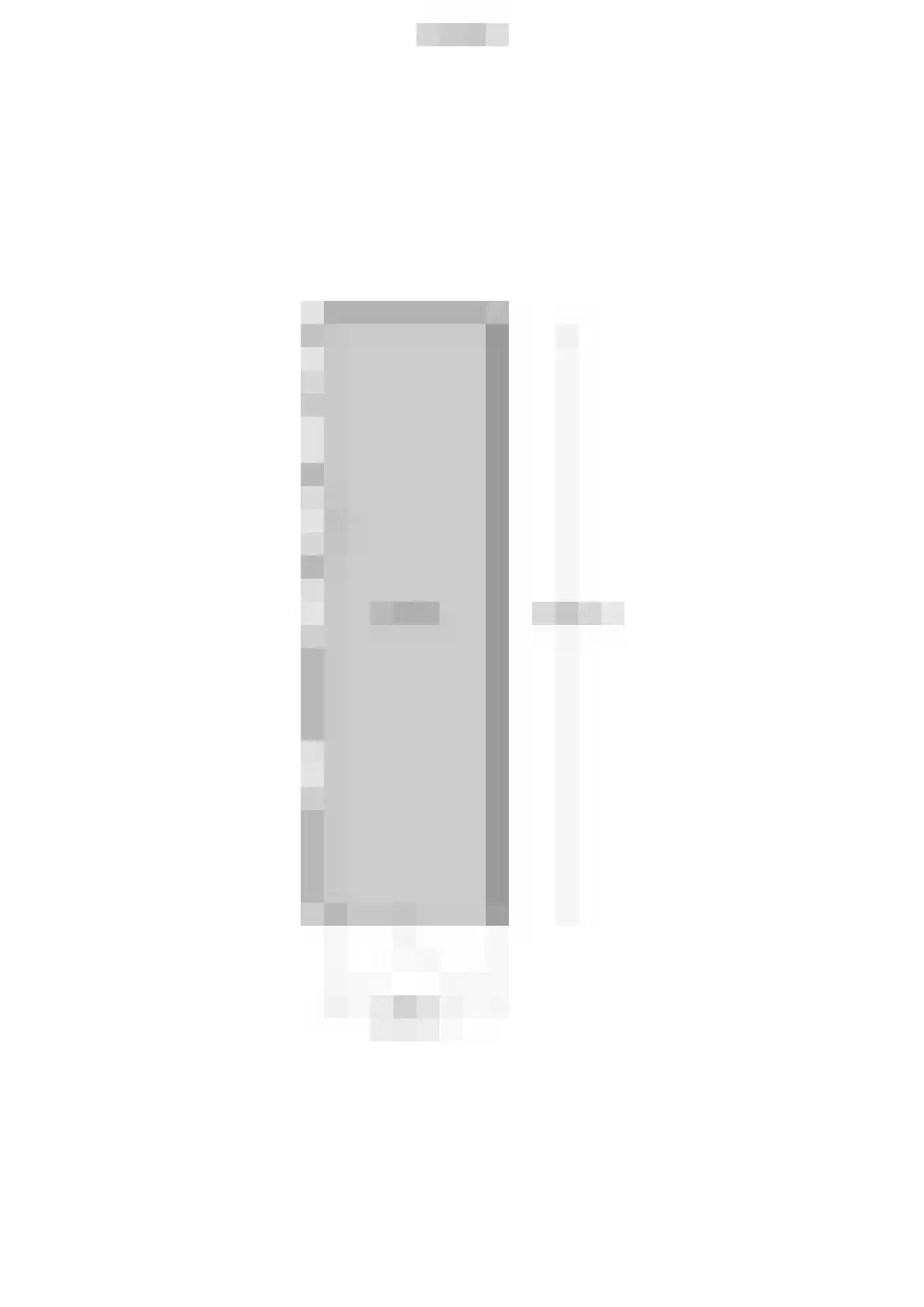 Joseph Partounsstraat 4 Eijsden thumbnail 43