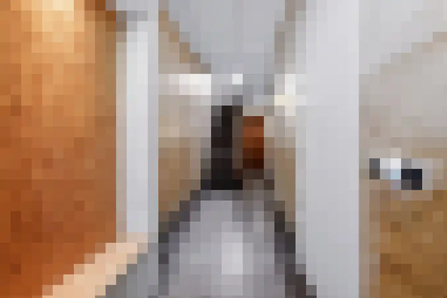 Joseph Partounsstraat 4 Eijsden thumbnail 6