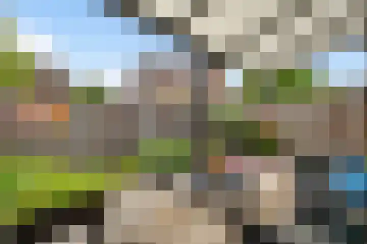 Joseph Postmesstraat 5 Herkenbosch thumbnail 23