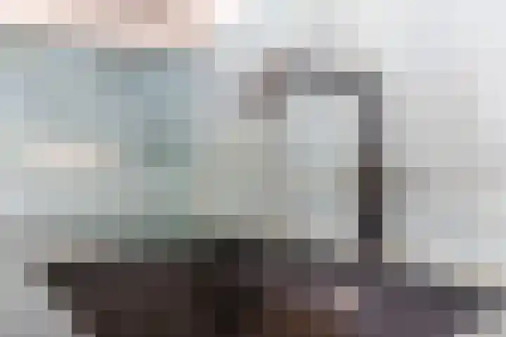 Joseph Schulteweg 13 Steensel thumbnail 21
