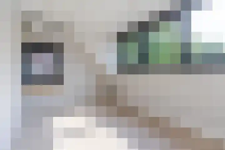 Joseph Schulteweg 13 Steensel thumbnail 32