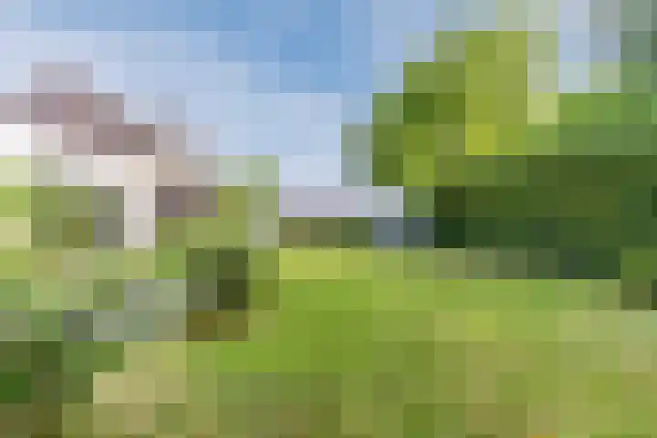Joseph Schulteweg 13 Steensel thumbnail 43